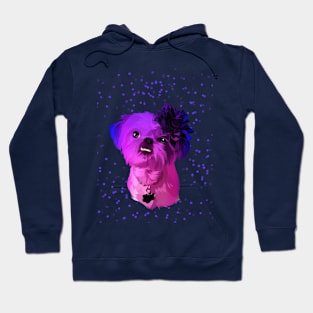 Dog cat colorful Hoodie